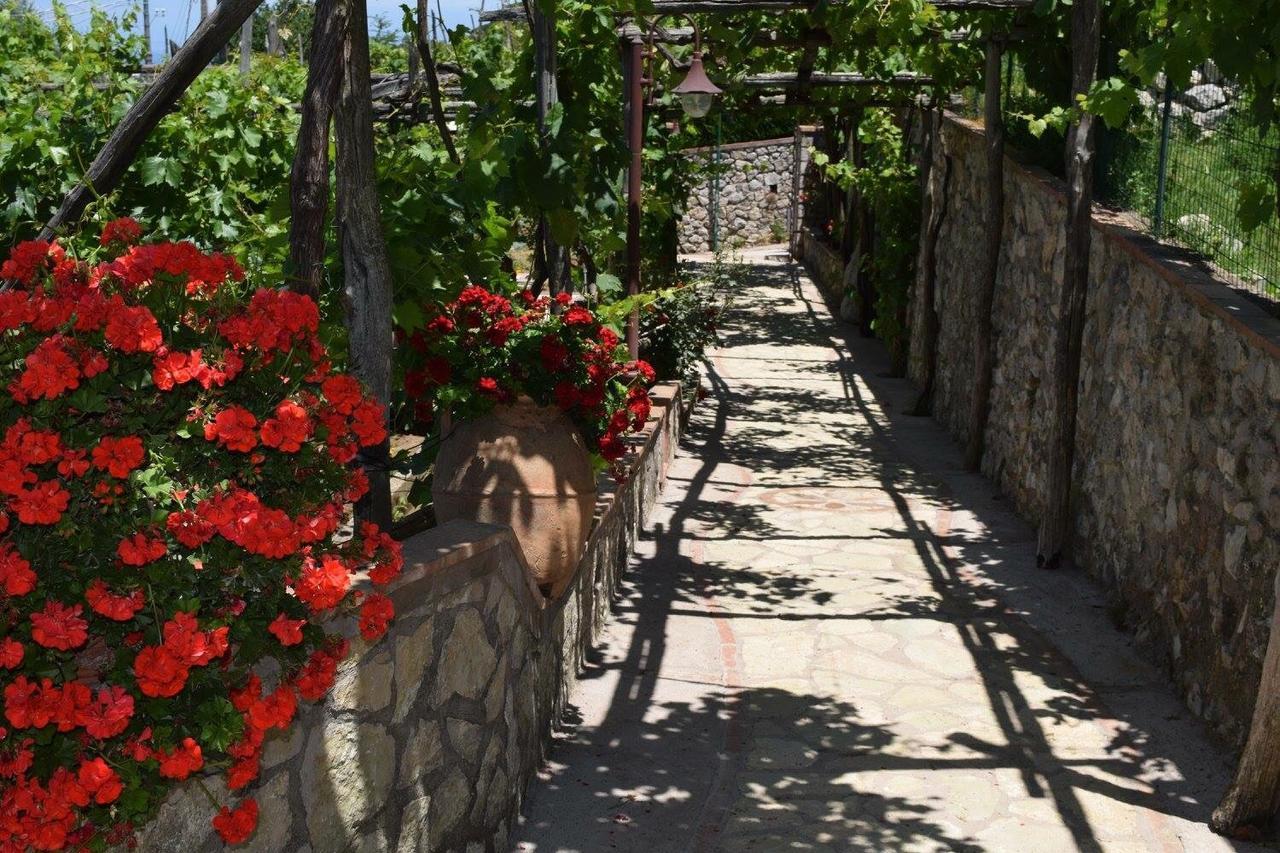 B&B Il Grappolo Anacapri Kültér fotó