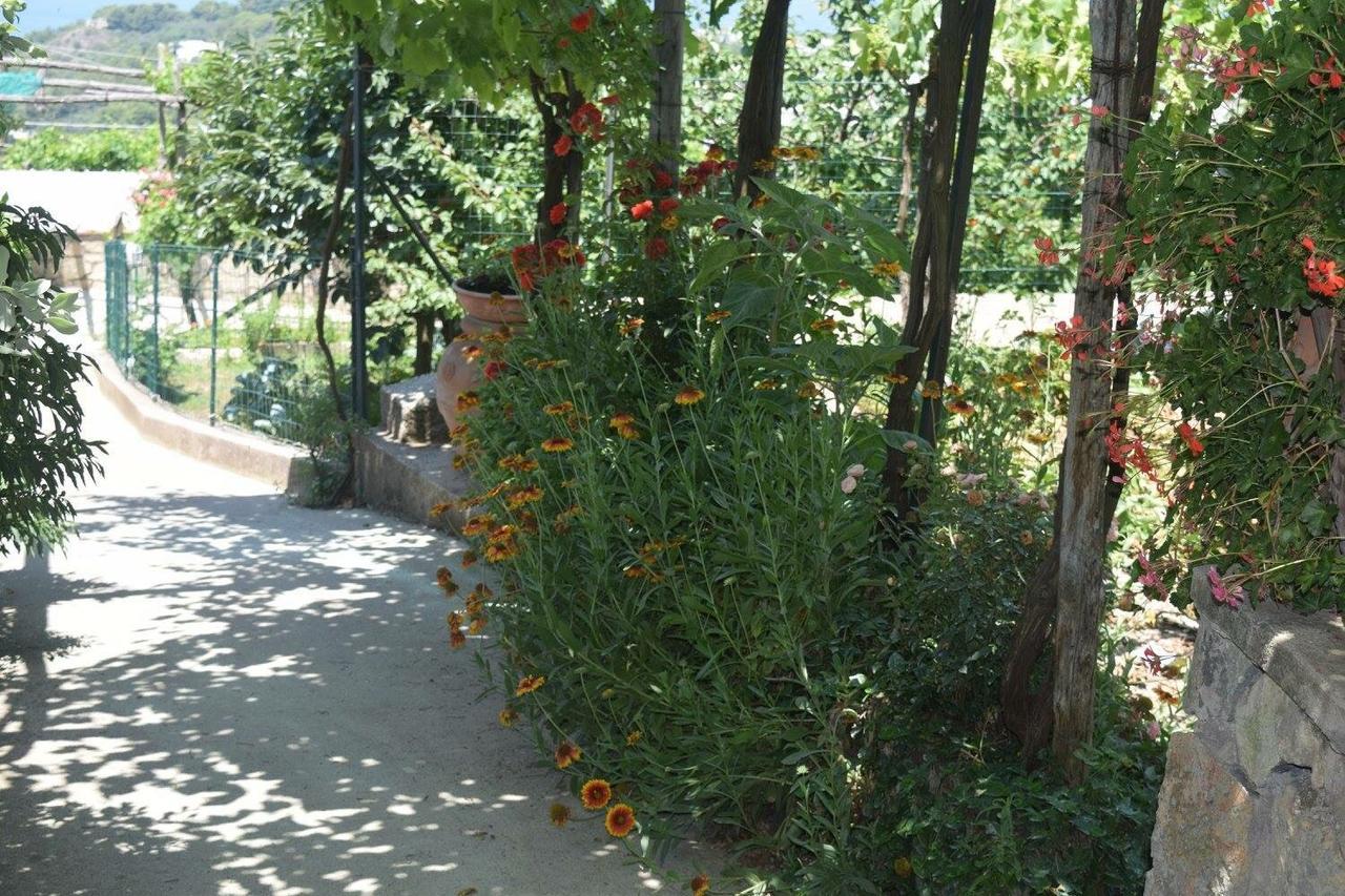 B&B Il Grappolo Anacapri Kültér fotó