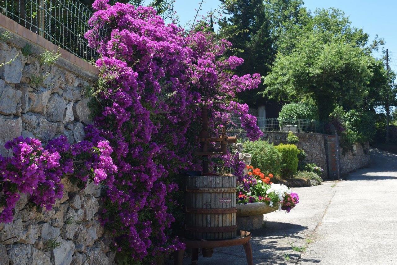 B&B Il Grappolo Anacapri Kültér fotó