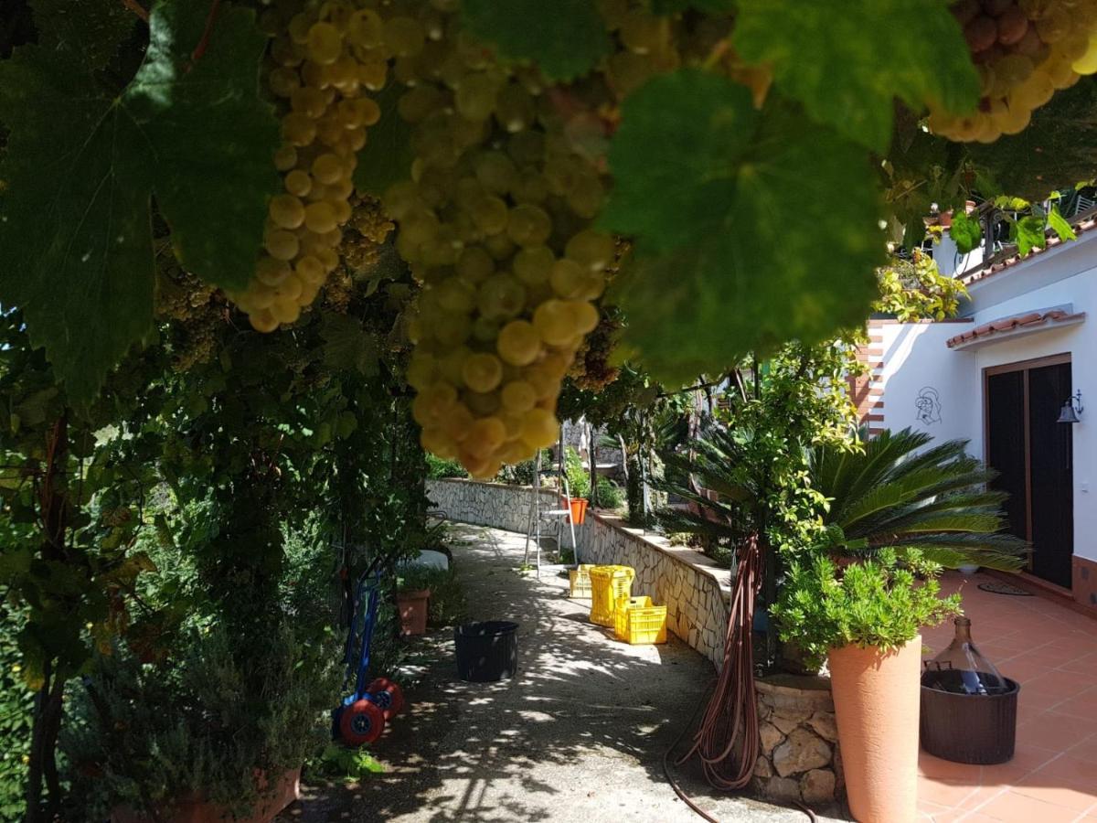 B&B Il Grappolo Anacapri Kültér fotó